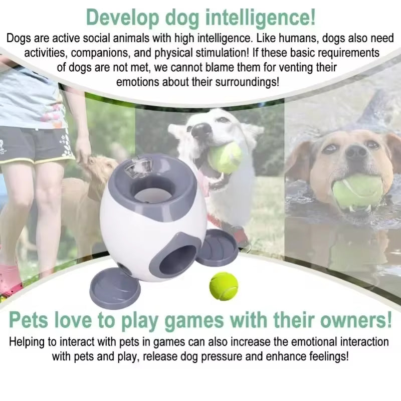 Automatic Tennis Ball Launcher for Medium Dogs - Interactive Training Smart Feeder
