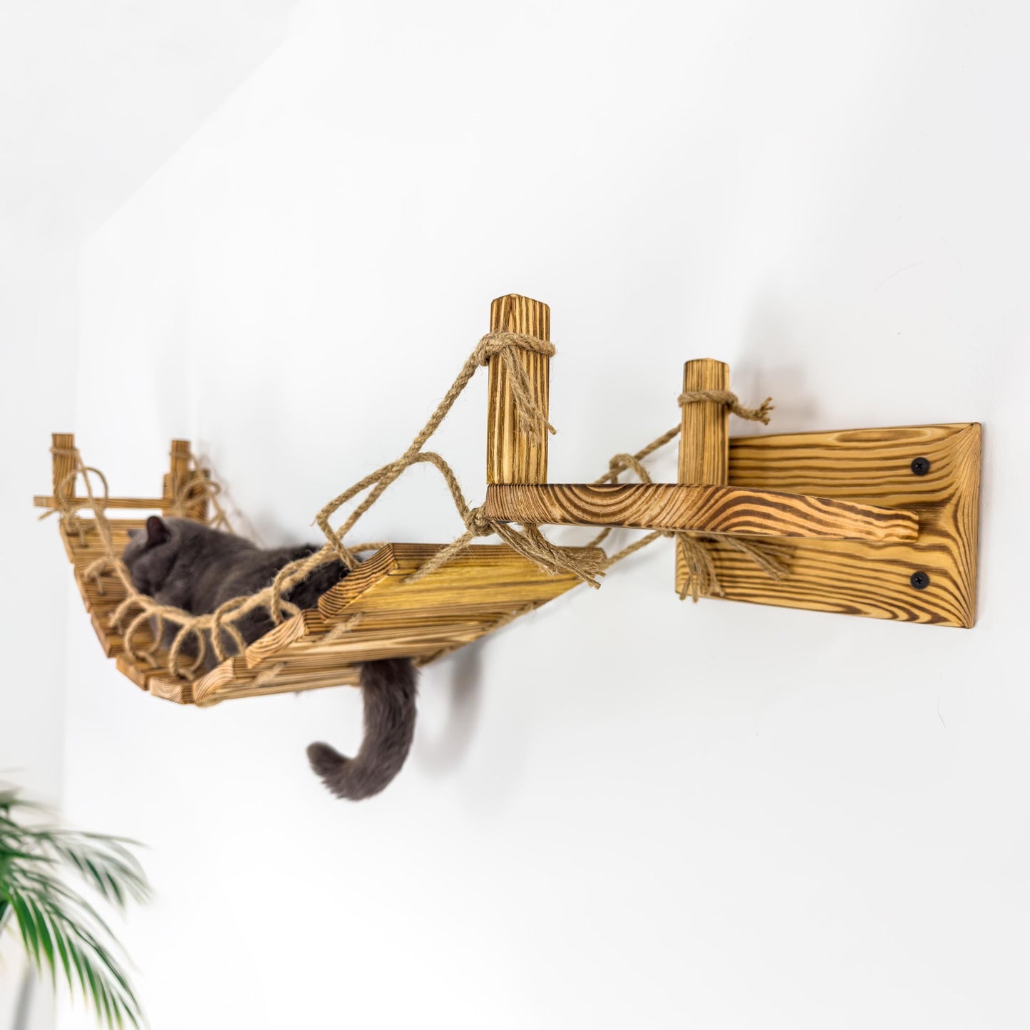 Stock in USA, Cat Bridge for Wall, Cat Bridge, Cat Shelves, Cat Ladder Floating, Wooden Furniture for Cat, Cat Ladder, Cat Wall Furniture