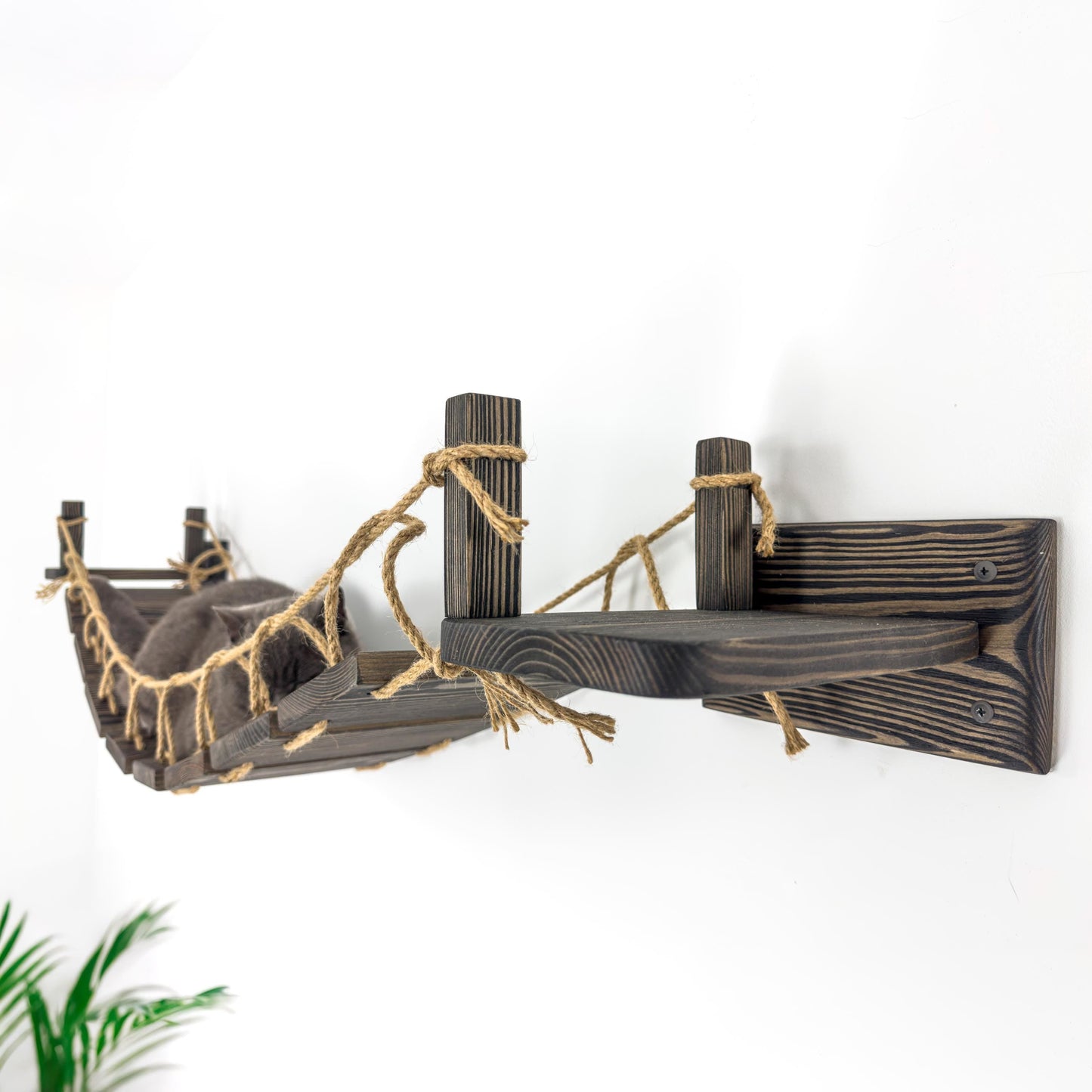 Stock in USA, Cat Bridge for Wall, Cat Bridge, Cat Shelves, Cat Ladder Floating, Wooden Furniture for Cat, Cat Ladder, Cat Wall Furniture