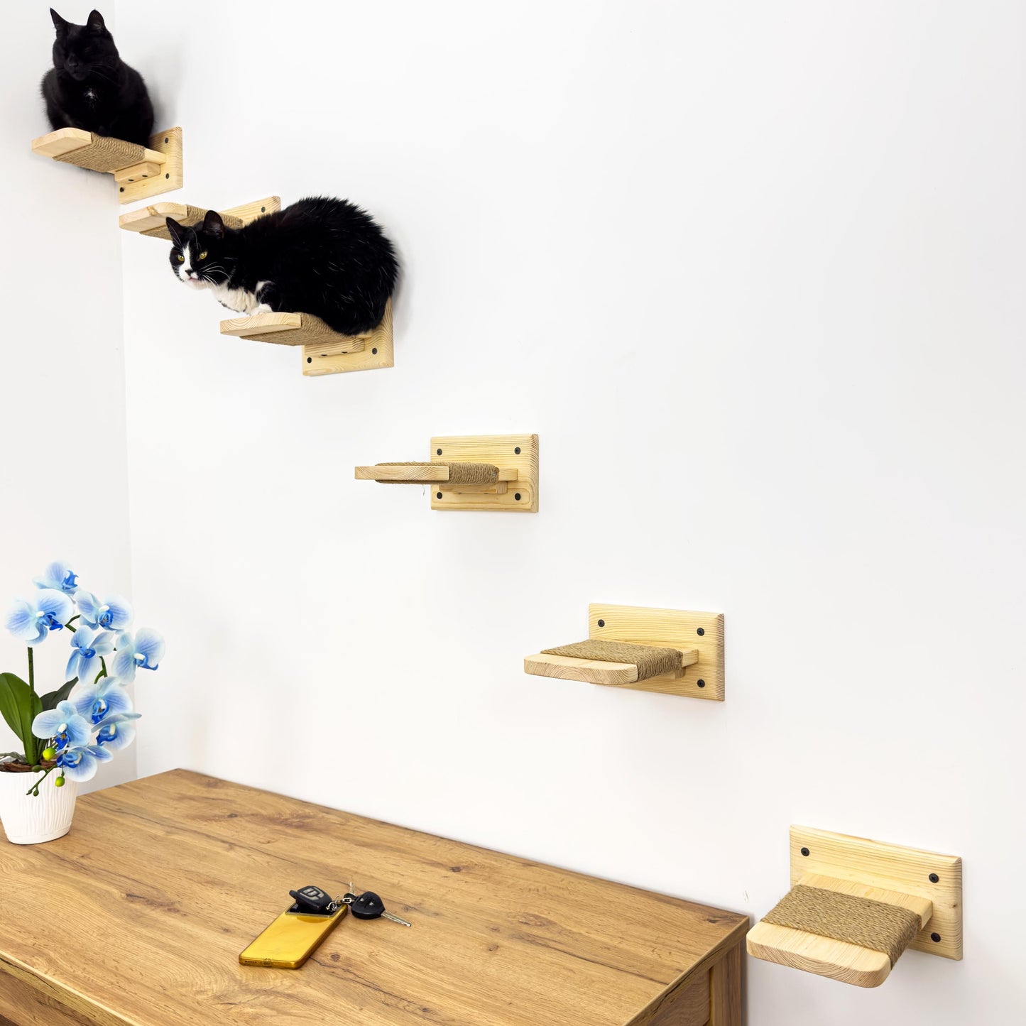 Stock in USA, Set Cat 6 Steps with Rope, Cat Furniture, Cat Shelves, Cat Shelf, Cat Wall Shelves, Cat Bridge, Cat Ladder, Cat Tree Furniture