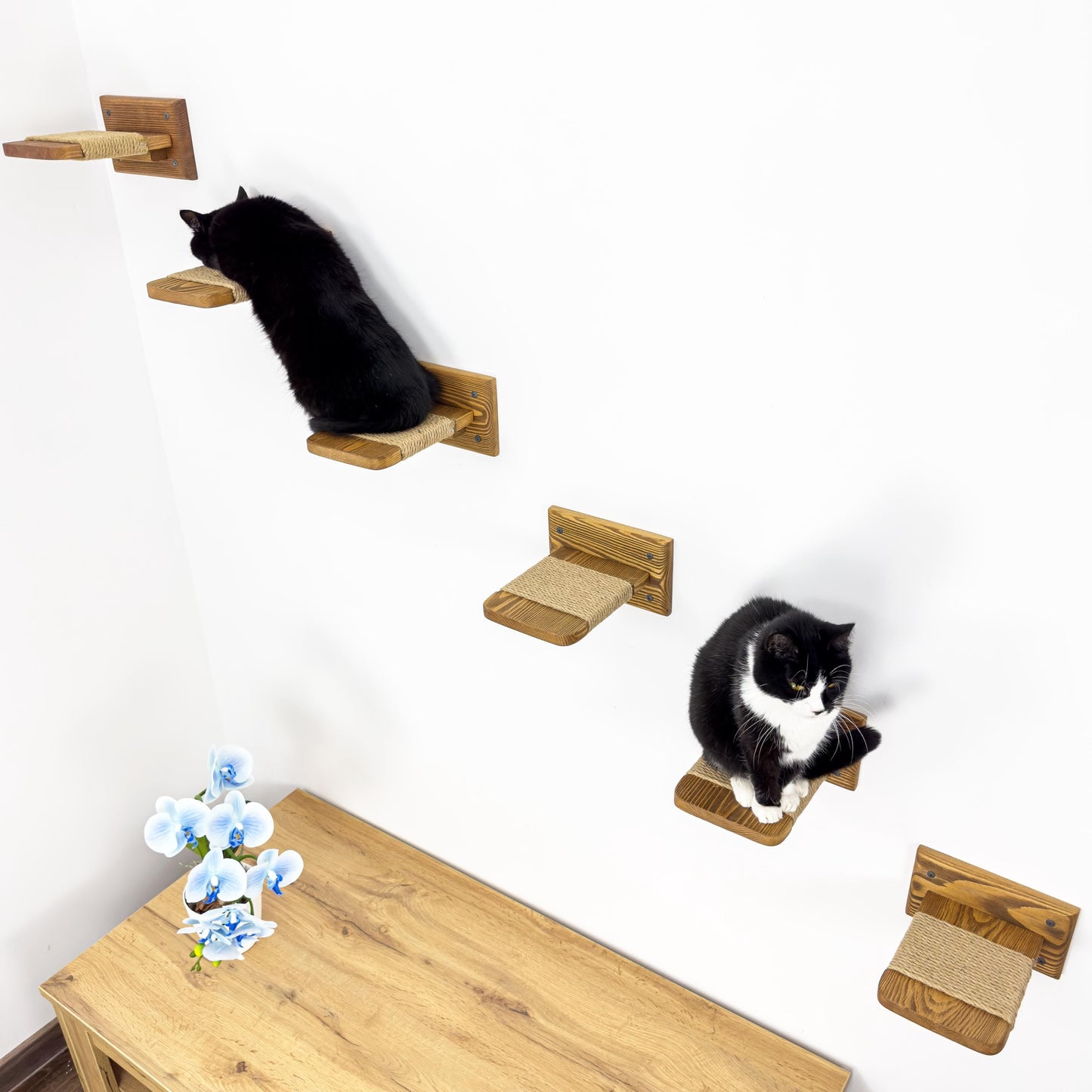 Stock in USA, Set Cat 6 Steps with Rope, Cat Furniture, Cat Shelves, Cat Shelf, Cat Wall Shelves, Cat Bridge, Cat Ladder, Cat Tree Furniture