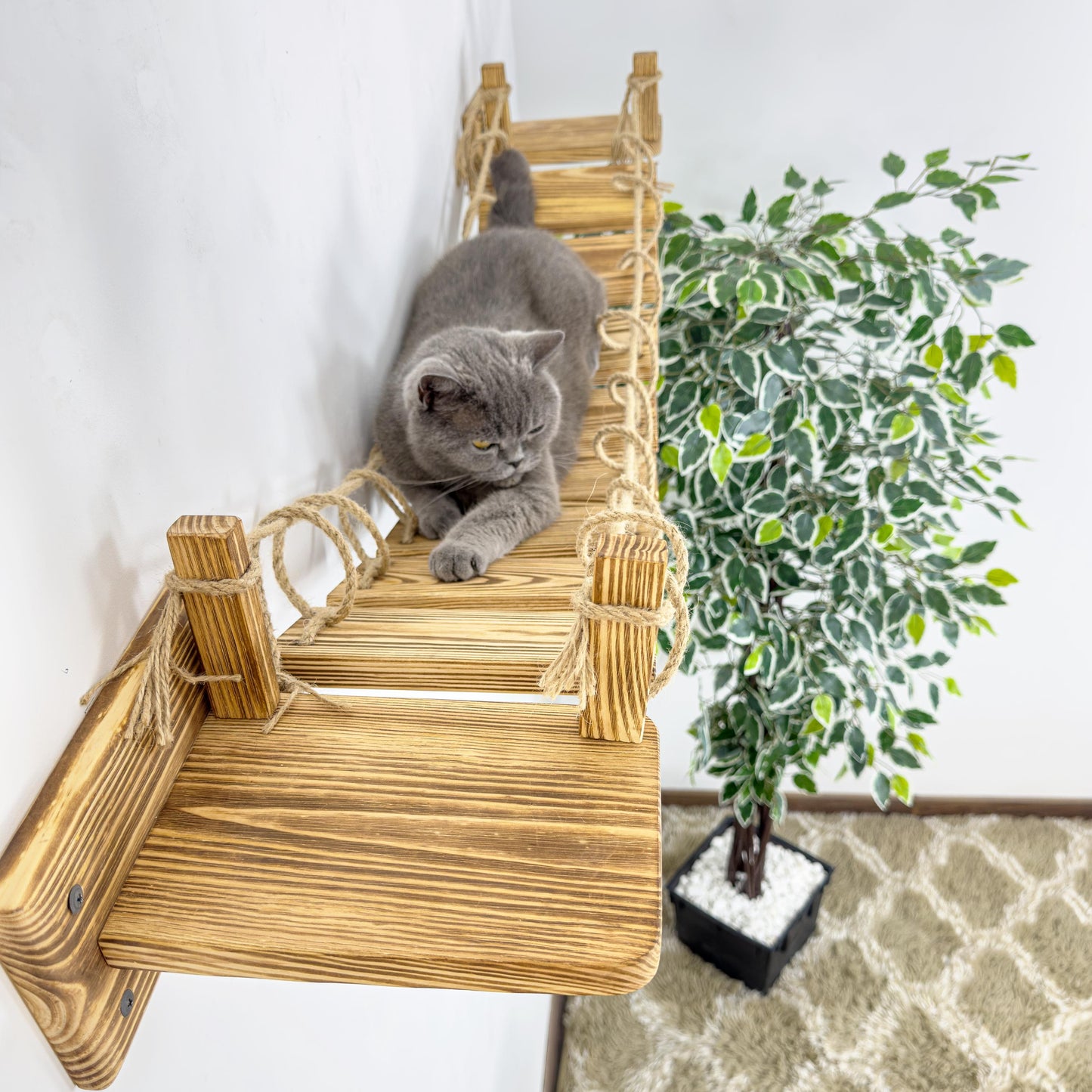 Stock in USA, Cat Bridge for Wall, Cat Bridge, Cat Shelves, Cat Ladder Floating, Wooden Furniture for Cat, Cat Ladder, Cat Wall Furniture