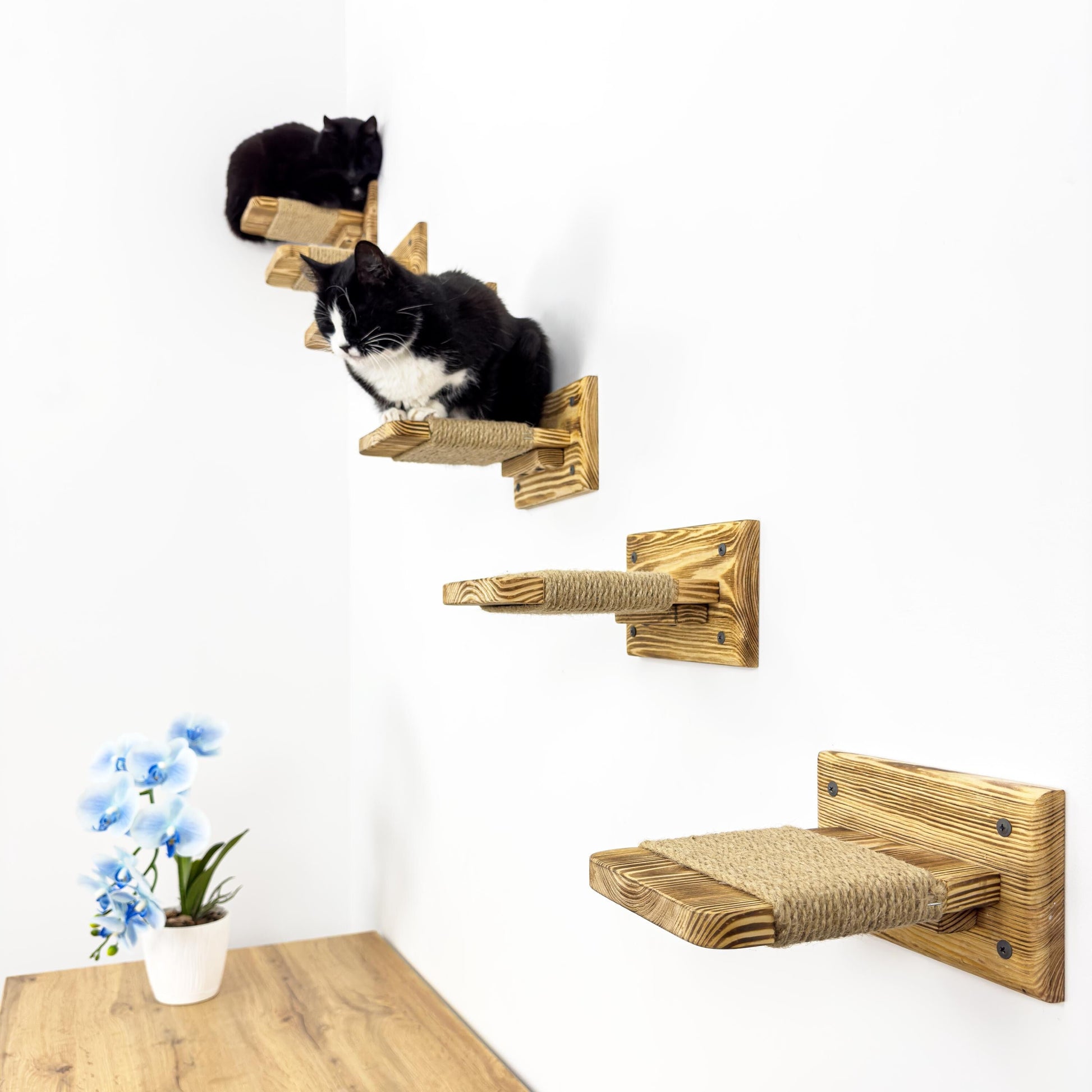 Stock in USA, Set Cat 6 Steps with Rope, Cat Furniture, Cat Shelves, Cat Shelf, Cat Wall Shelves, Cat Bridge, Cat Ladder, Cat Tree Furniture