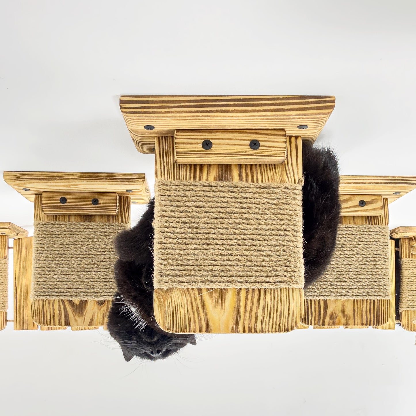 Stock in USA, Set Cat 6 Steps with Rope, Cat Furniture, Cat Shelves, Cat Shelf, Cat Wall Shelves, Cat Bridge, Cat Ladder, Cat Tree Furniture