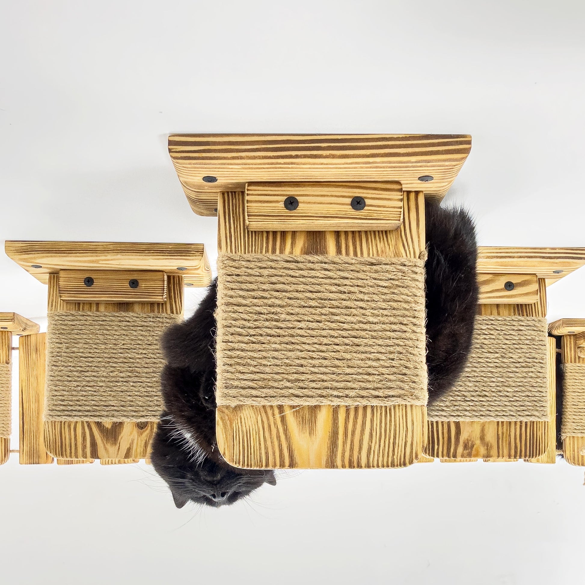 Stock in USA, Set Cat 6 Steps with Rope, Cat Furniture, Cat Shelves, Cat Shelf, Cat Wall Shelves, Cat Bridge, Cat Ladder, Cat Tree Furniture