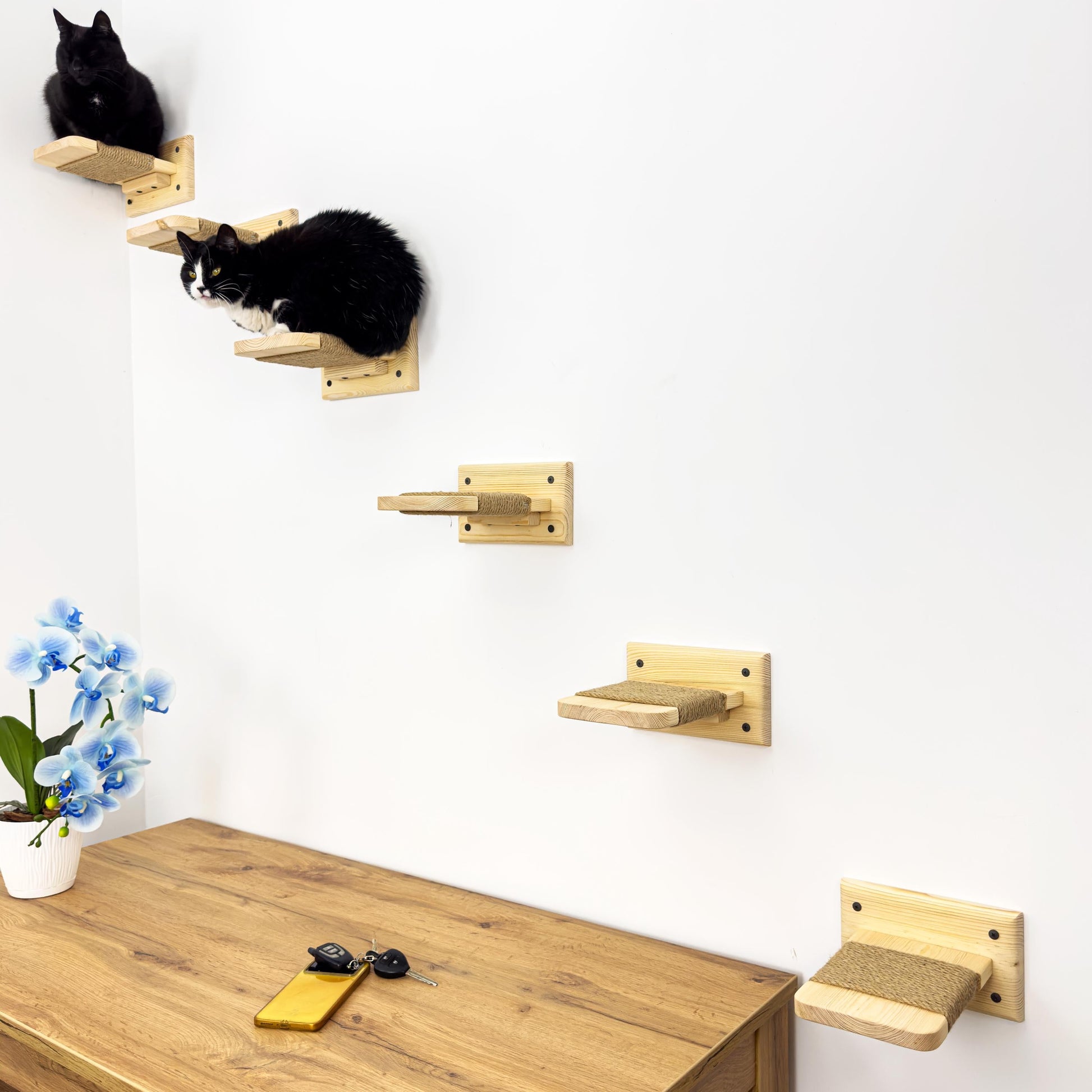 Stock in USA, Set Cat 6 Steps with Rope, Cat Furniture, Cat Shelves, Cat Shelf, Cat Wall Shelves, Cat Bridge, Cat Ladder, Cat Tree Furniture